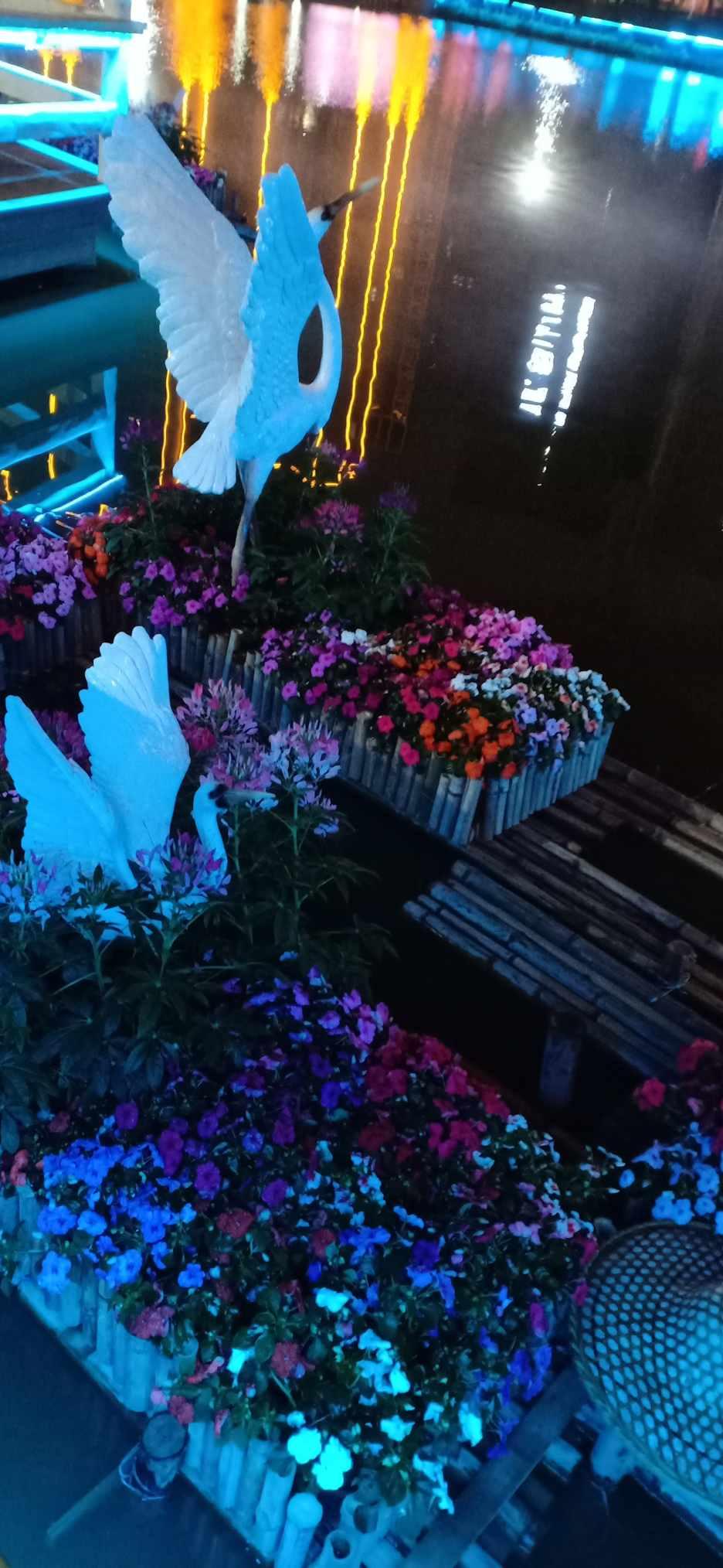 拯救巧虎2